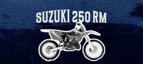 SUZUKI 250 RM